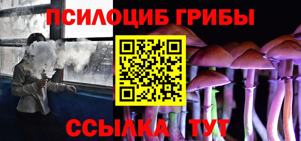 Псилоцибиновые грибы MAGIC MUSHROOMS  Вход с VPN  Вичуга 